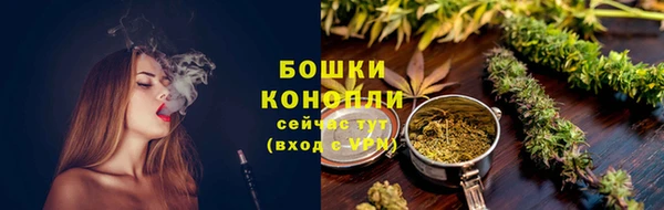 дживик Михайловск