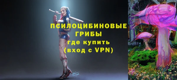 MDMA Premium VHQ Михайловка