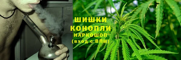 дживик Михайловск