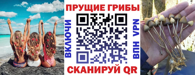 Галлюциногенные грибы MAGIC MUSHROOMS Фатеж